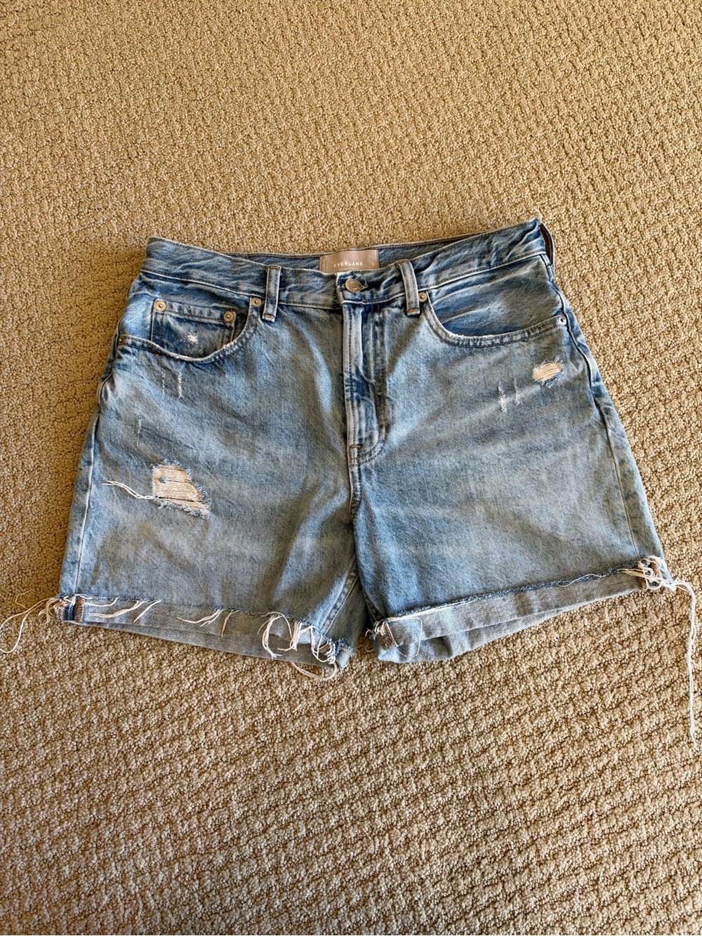 Everlane The Denim Short